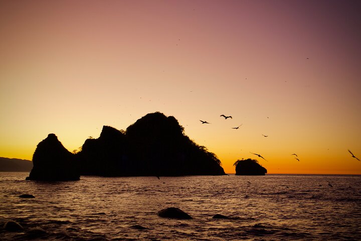 Sunset and Bioluminescence Boat Tour at Los Arcos Islands - Photo 7