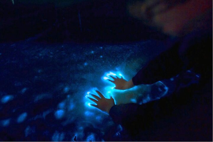 Sunset and Bioluminescence Boat Tour at Los Arcos Islands - Photo 1