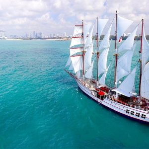 Sailing - Royal Albatross - Sunset Sail Cruise with 5-Course Seated Dinner