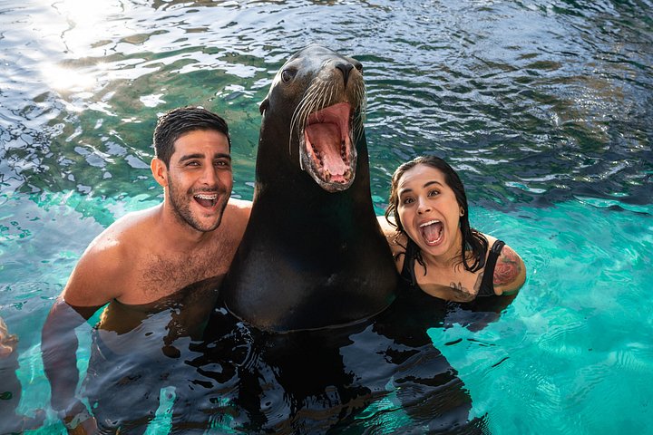 Ocean Mania Waterpark Experience in Puerto Vallarta - Photo 7