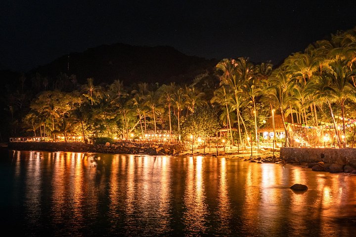 Puerto Vallarta Rhythms of the Night, Dinner Cruise and Alma Show - Photo 6