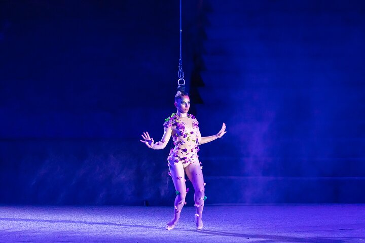 hair hanging contemporary dancer - Puerto Vallarta Rhythms of the Night, Dinner Cruise and Alma Show