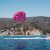 Parasailing in Catalina Island: Soar Above The Stunning Coastline