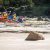 Dwellingup: Fast Water Rafting self-guided tour