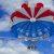 Parasail Flights at Madeira Beach