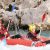 Hot dog (inflatable canoe) on the Durance