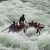 Jackson Hole Whitewater Rafting Small Boat