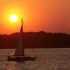 How to Avoid Yacht Charter Scams: The Ultimate Guide to Booking Fraud Prevention