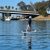 eFoil Surf Experience with Video Package. 2-Hours on LIFT5/LIFTX