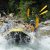 Rafting Power in Trentino