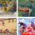 Rafting, Buggy Safari and Zipline with Lunch and Transfer